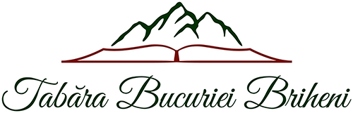 Tabara Bucuriei, Briheni - Logo